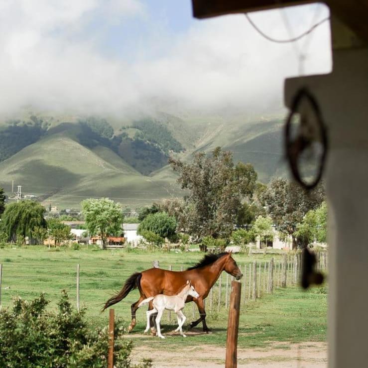 Tafí del ValleEntre Montanas公寓 外观 照片